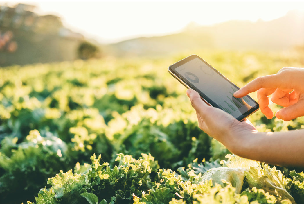 Create a smart farming ecosystem with SenseCAP - eucatech Store