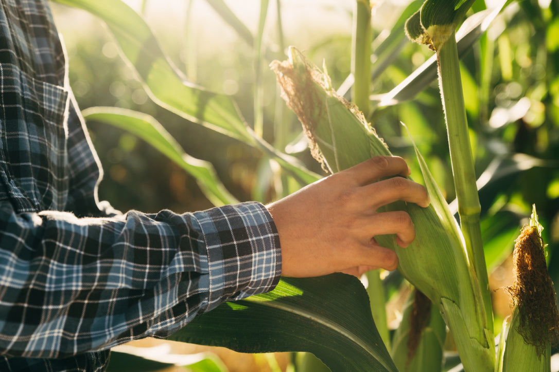 South African Agriculture in the Face of Climate Change - eucatech Store