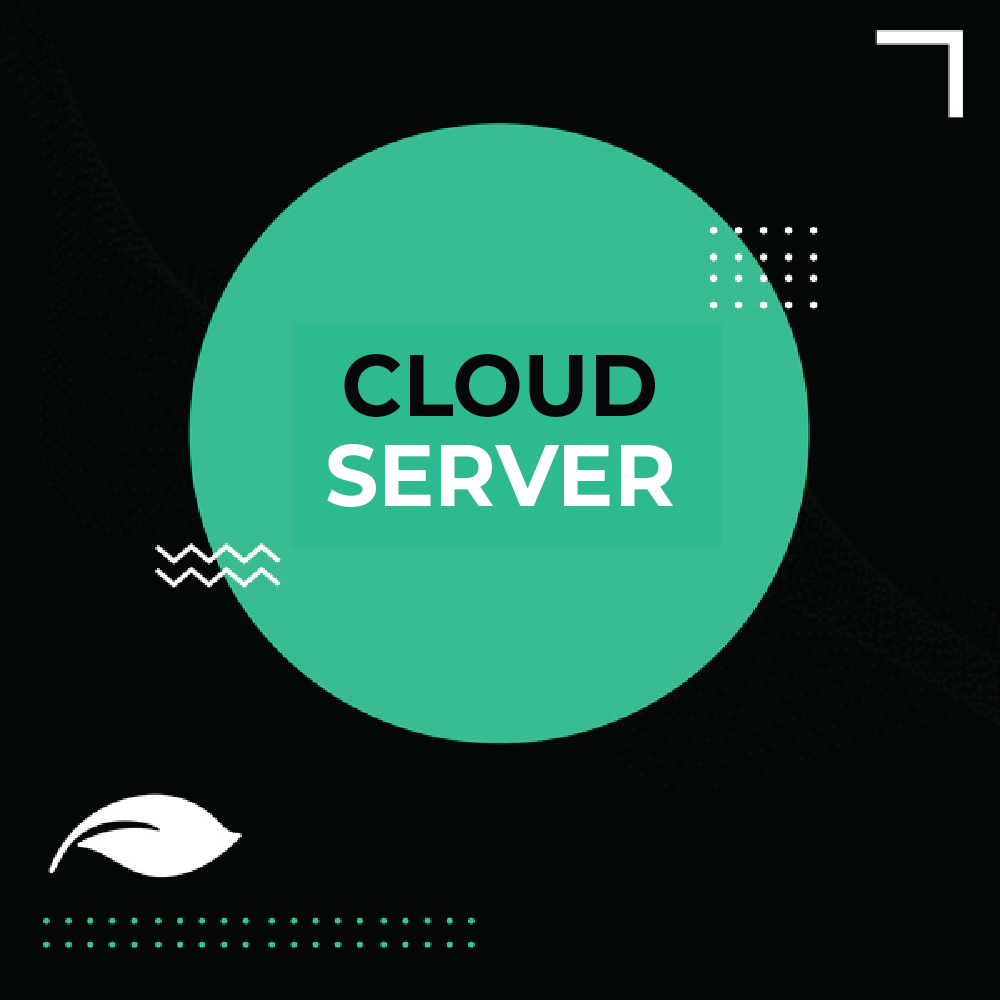 NS Cloud Server - eucatech Store