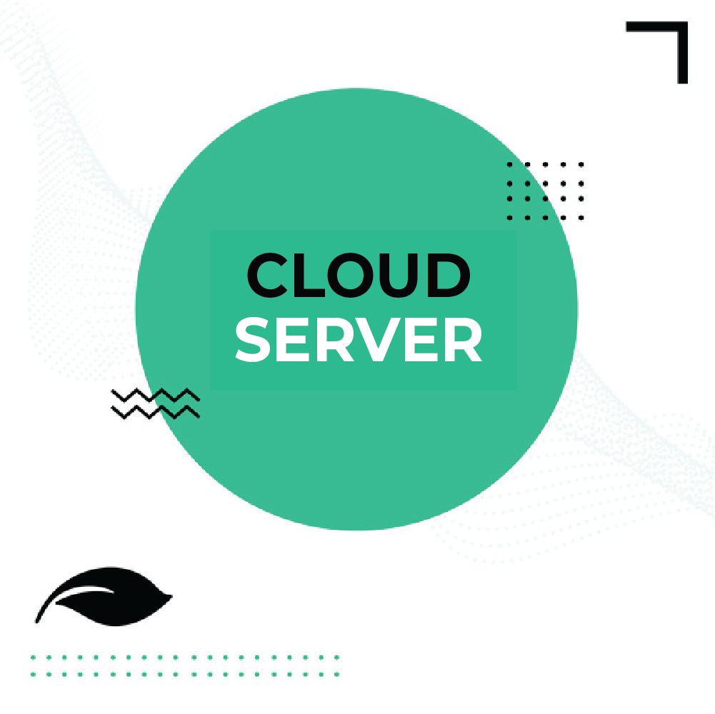NS Cloud Server - eucatech Store