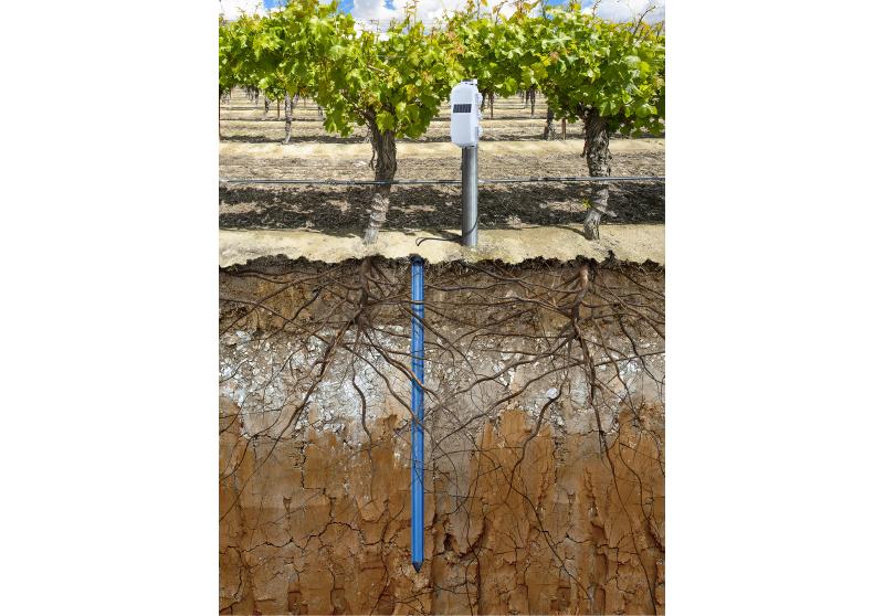 HOBOnet Soil Moisture Sensor - eucatech Store