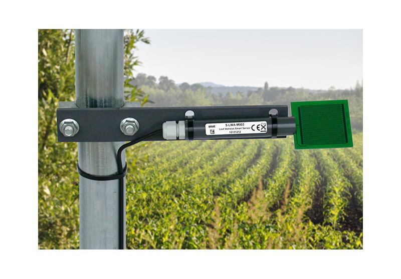 Leaf Wetness Smart Sensor - eucatech Store