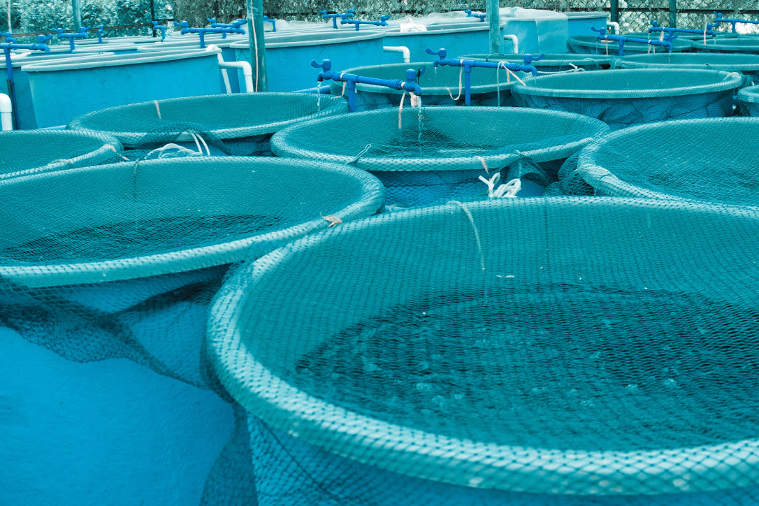 round water tanks for use in aquaculture