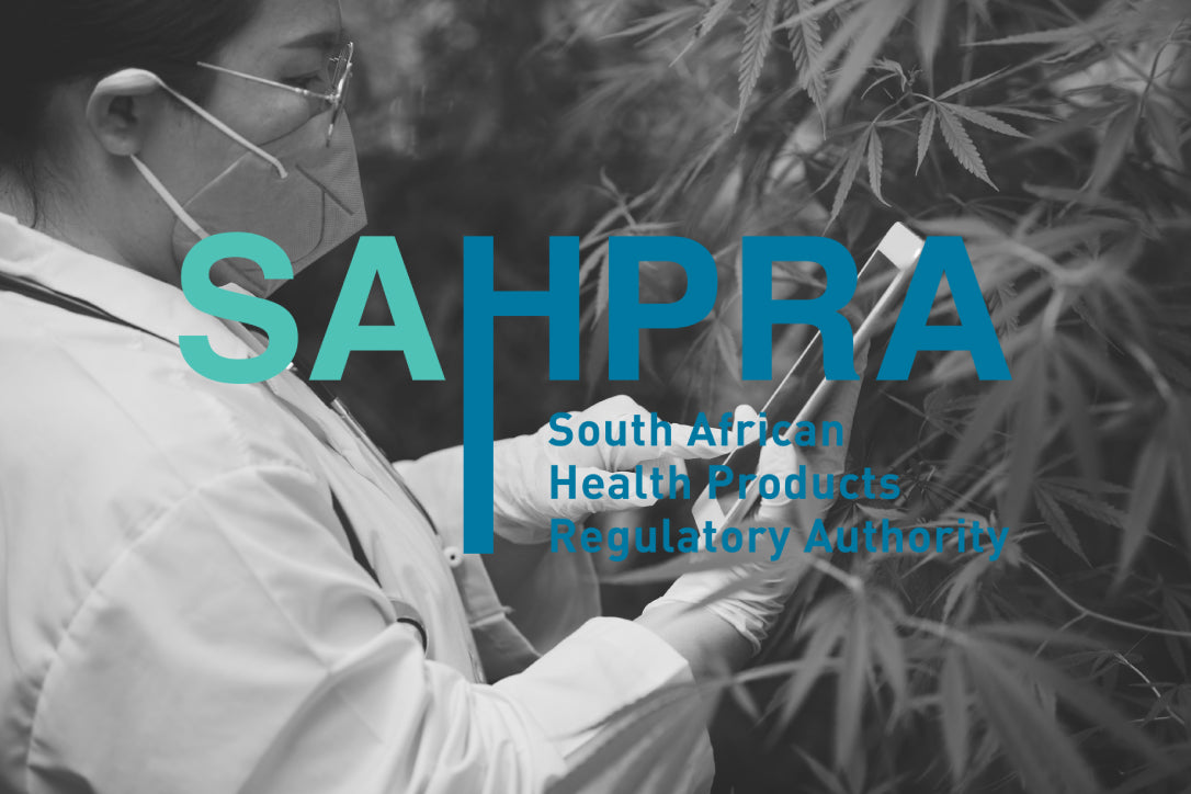 SAHPRA licensing for medical cannabis production