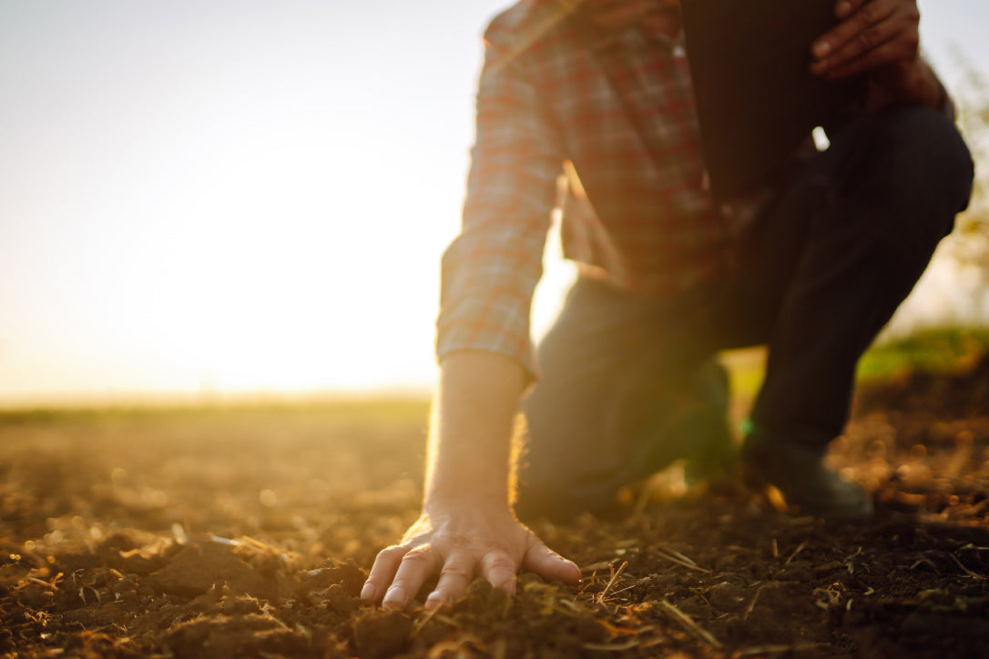 Maximising Agricultural Sustainability with smart soil sensors - eucatech Store