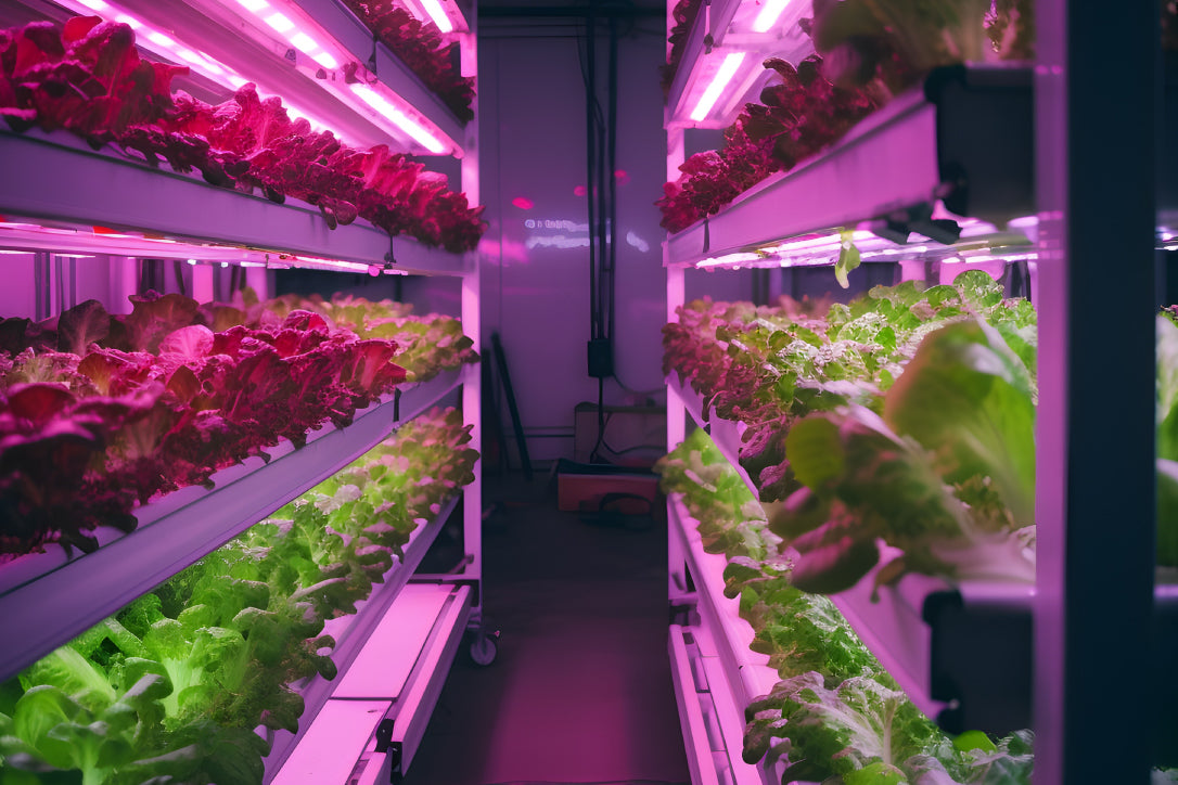 Cultivating the Future: IoT for Home and Indoor Vegetable Production