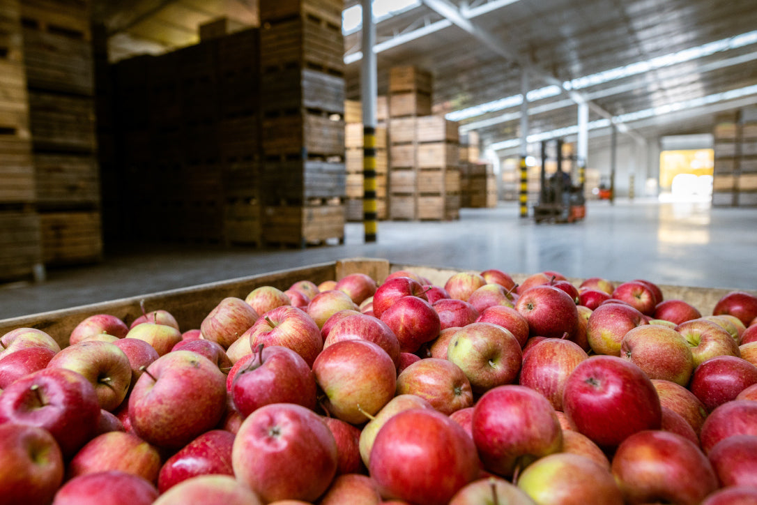 A Closer Look at SANAS and PPECB for Fruit Import and Export in South Africa - eucatech Store