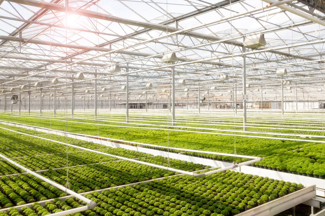 The importance of environmental monitoring to omptimise your greenhouse - eucatech Store