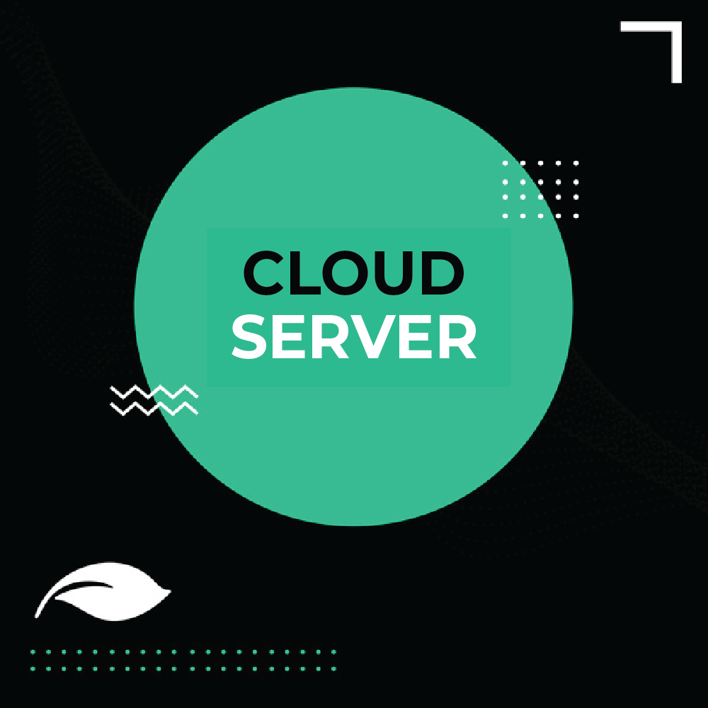 NS Cloud Server