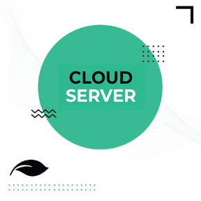 NS Cloud Server