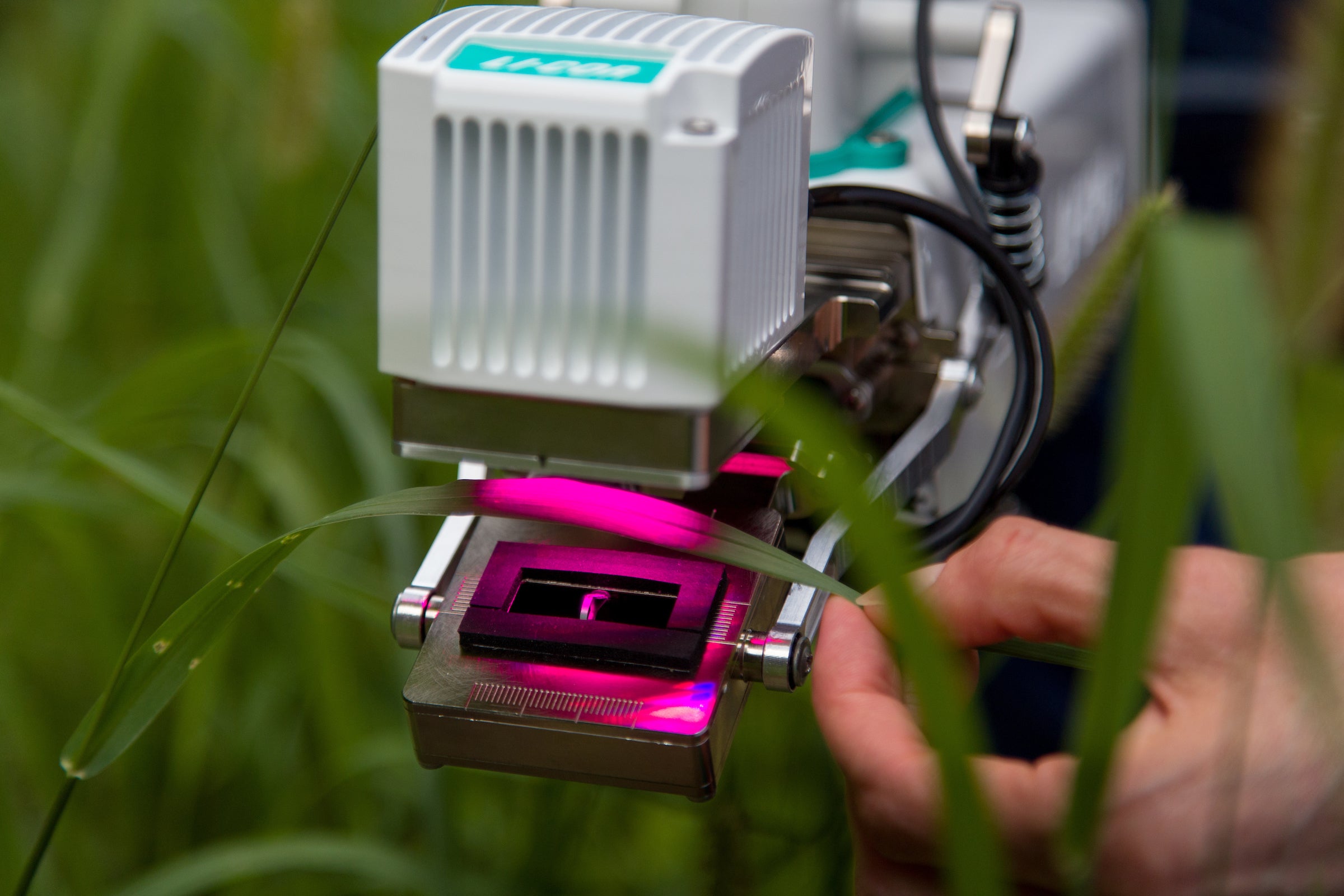 LI-COR Environmental Instruments – Official Distributor South Africa